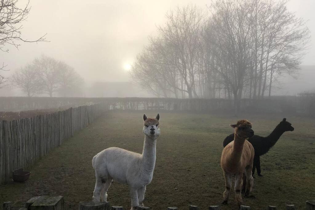 Hof Van Eggertingen Bakhuis Riemst Bagian luar foto